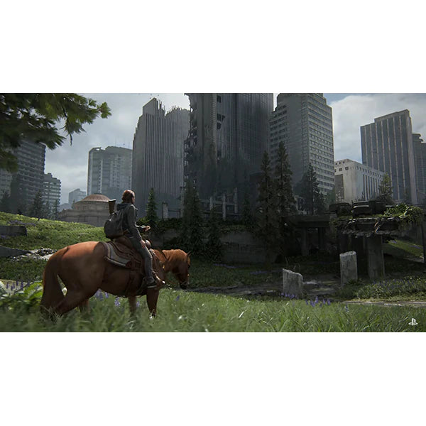 Joc The Last of Us Part II pentru PlayStation 4 Second-Hand SH