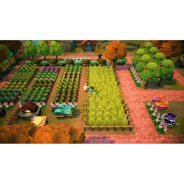 Joc Fae Farm pentru Nintendo Switch NOU