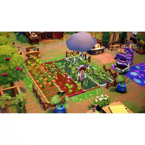 Joc Fae Farm pentru Nintendo Switch NOU