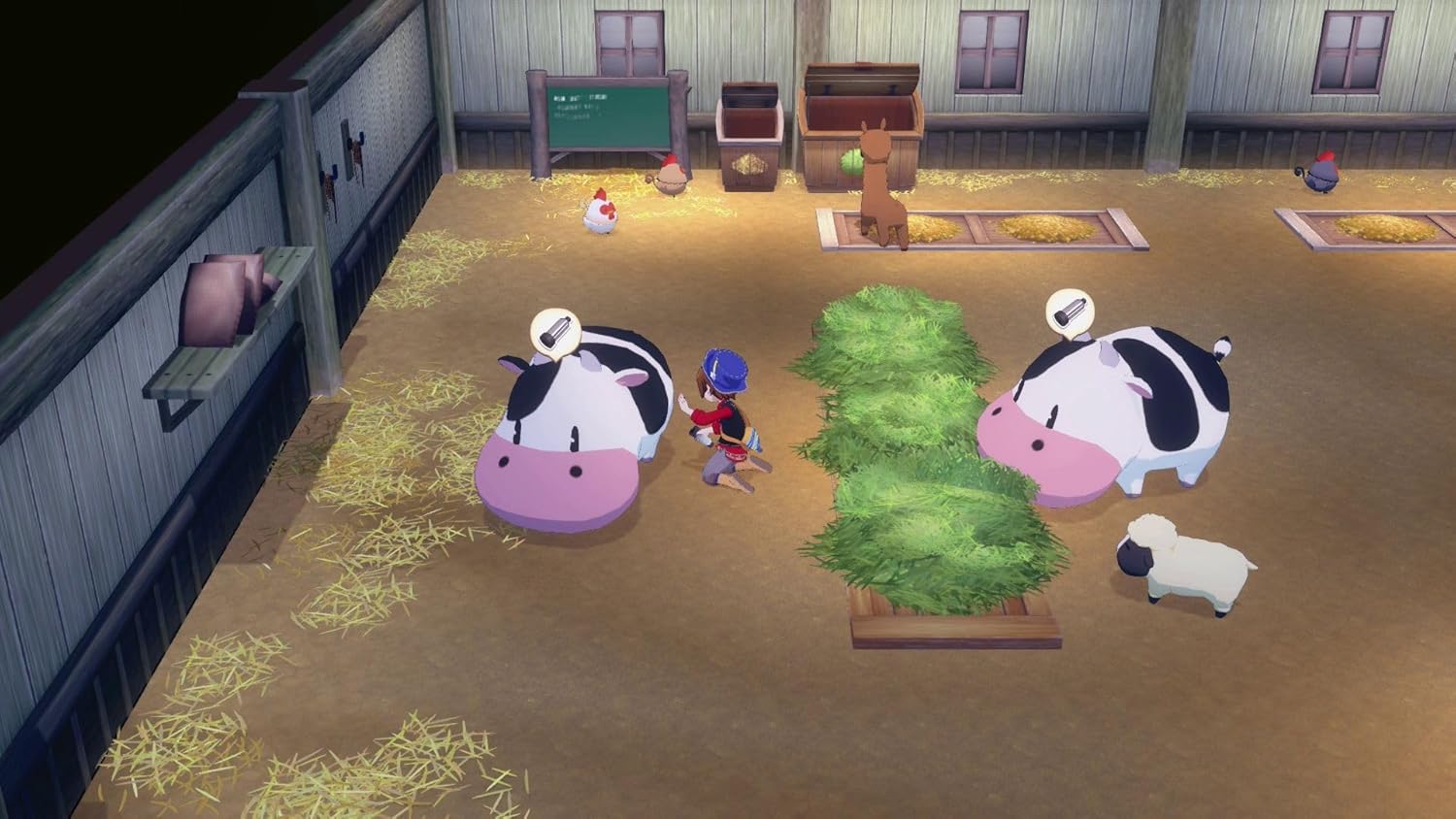 Joc Story of Seasons: Grand Bazaar pentru Nintendo Switch NOU