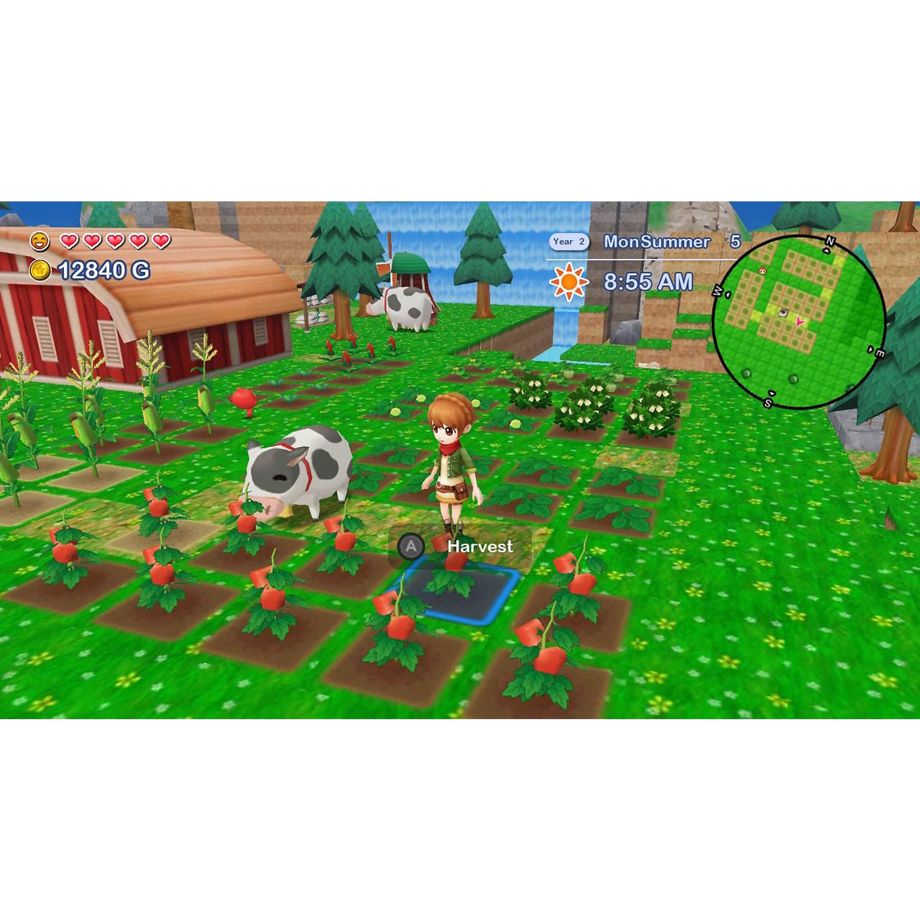 Joc Harvest Moon: The Lost Valley & Skytree Village pentru Nintendo Switch NOU