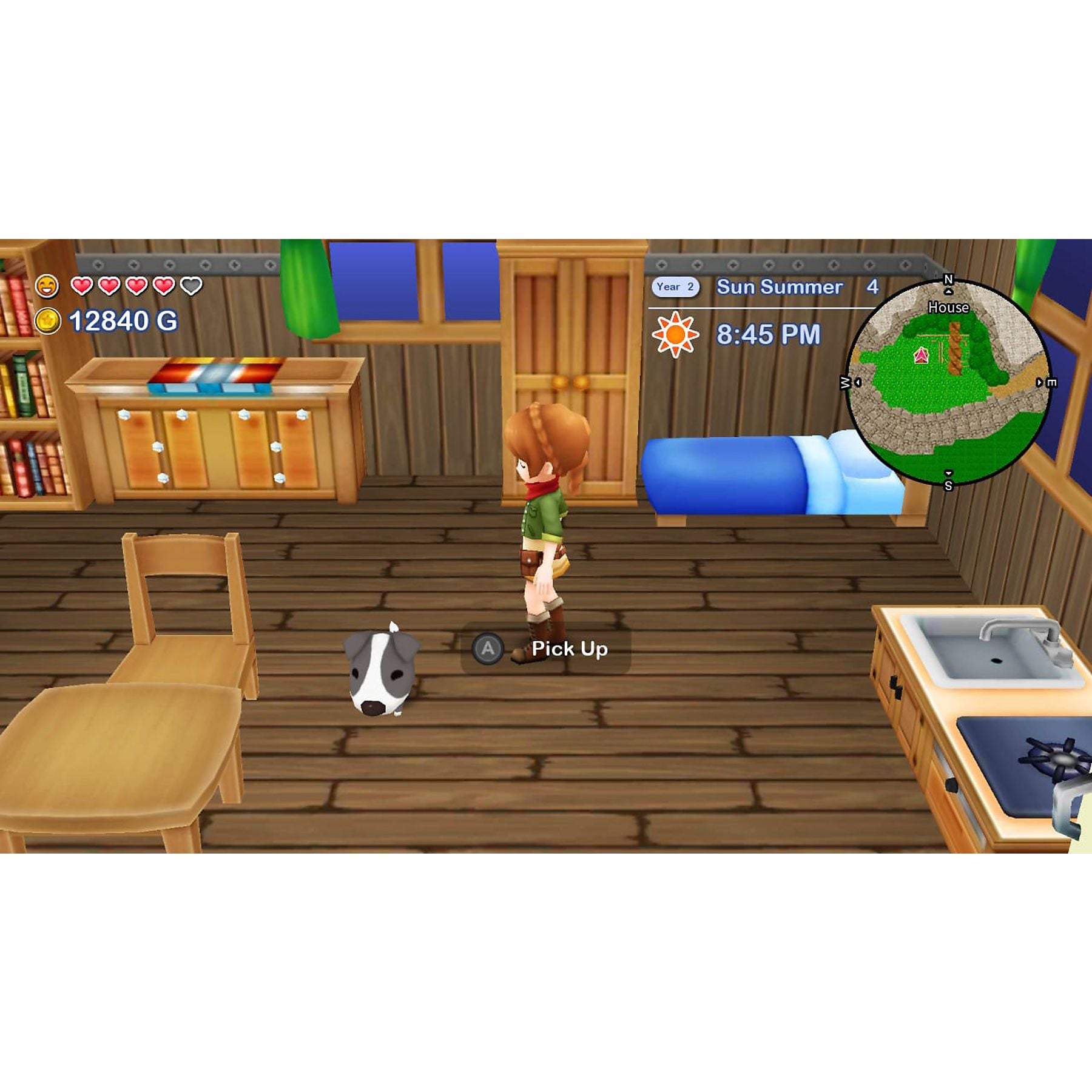 Joc Harvest Moon: The Lost Valley & Skytree Village pentru Nintendo Switch NOU