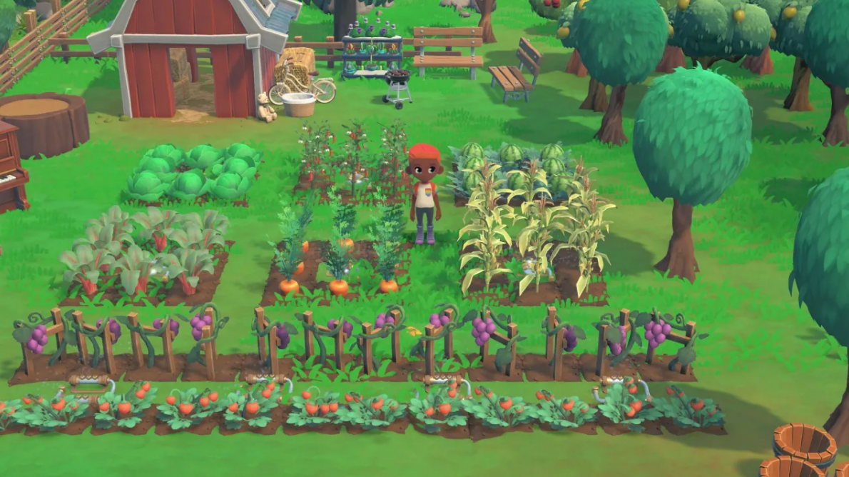 Joc Hokko Life pentru Nintendo Switch NOU