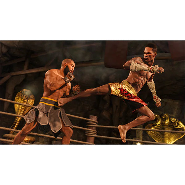 Joc UFC 4 pentru PlayStation 4 PS4 Second-Hand SH