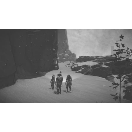 Joc Ashwalkers A Survival Journey Pentru Nintendo Switch NOU