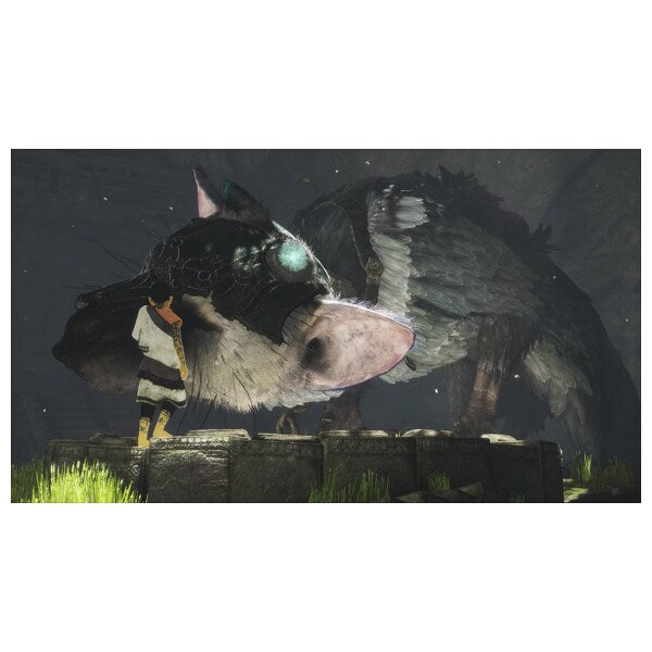 Joc The Last Guardian pentru PlayStation 4 PS4 Second-Hand SH