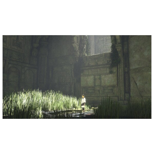 Joc The Last Guardian pentru PlayStation 4 PS4 Second-Hand SH