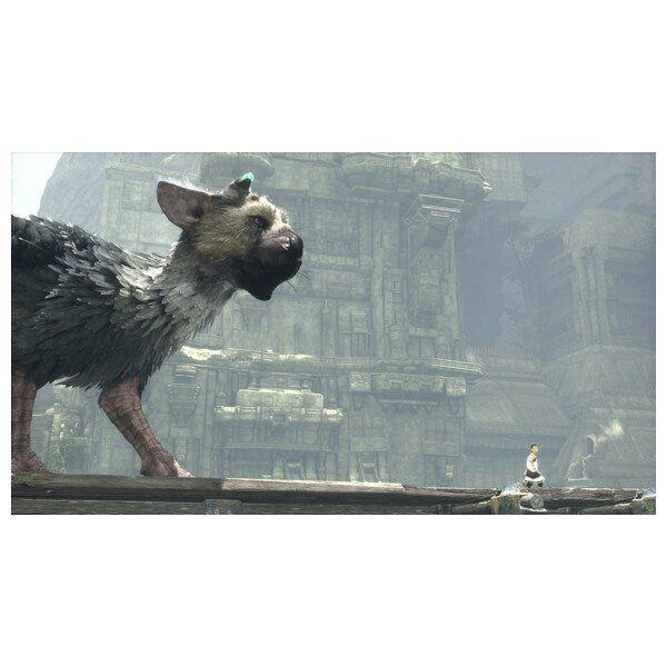 Joc The Last Guardian pentru PlayStation 4 PS4 Second-Hand SH